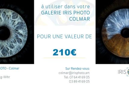 iris photo